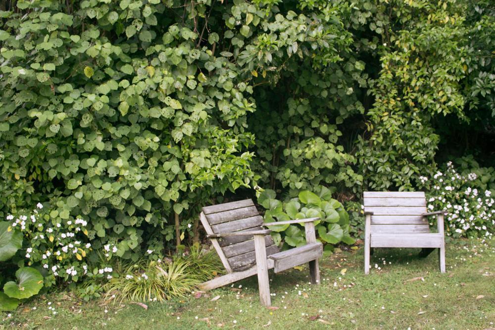 Amongst The Nikau Villa Waihi Exterior photo