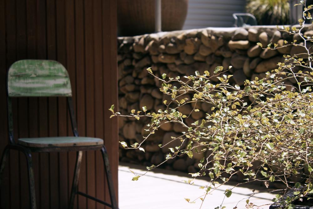 Amongst The Nikau Villa Waihi Exterior photo