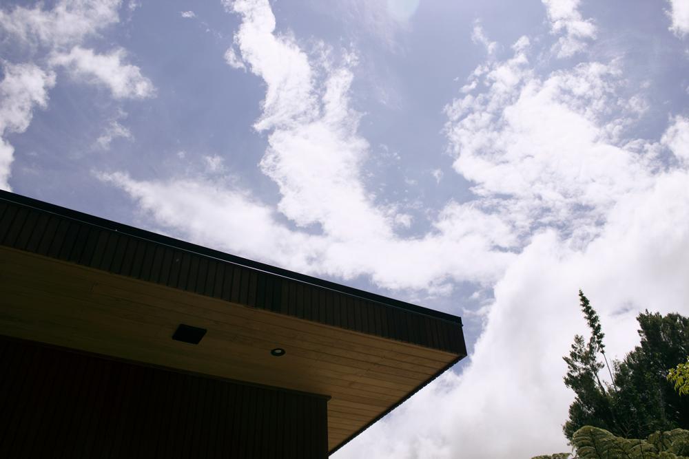 Amongst The Nikau Villa Waihi Exterior photo