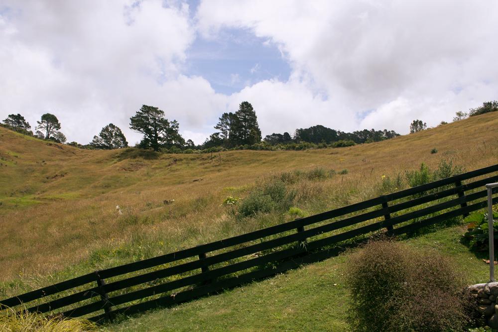 Amongst The Nikau Villa Waihi Exterior photo