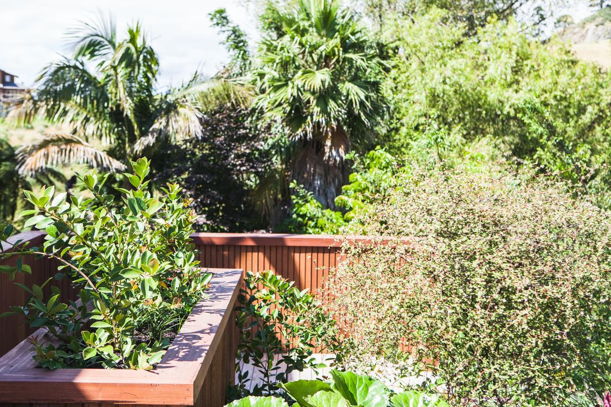 Amongst The Nikau Villa Waihi Exterior photo